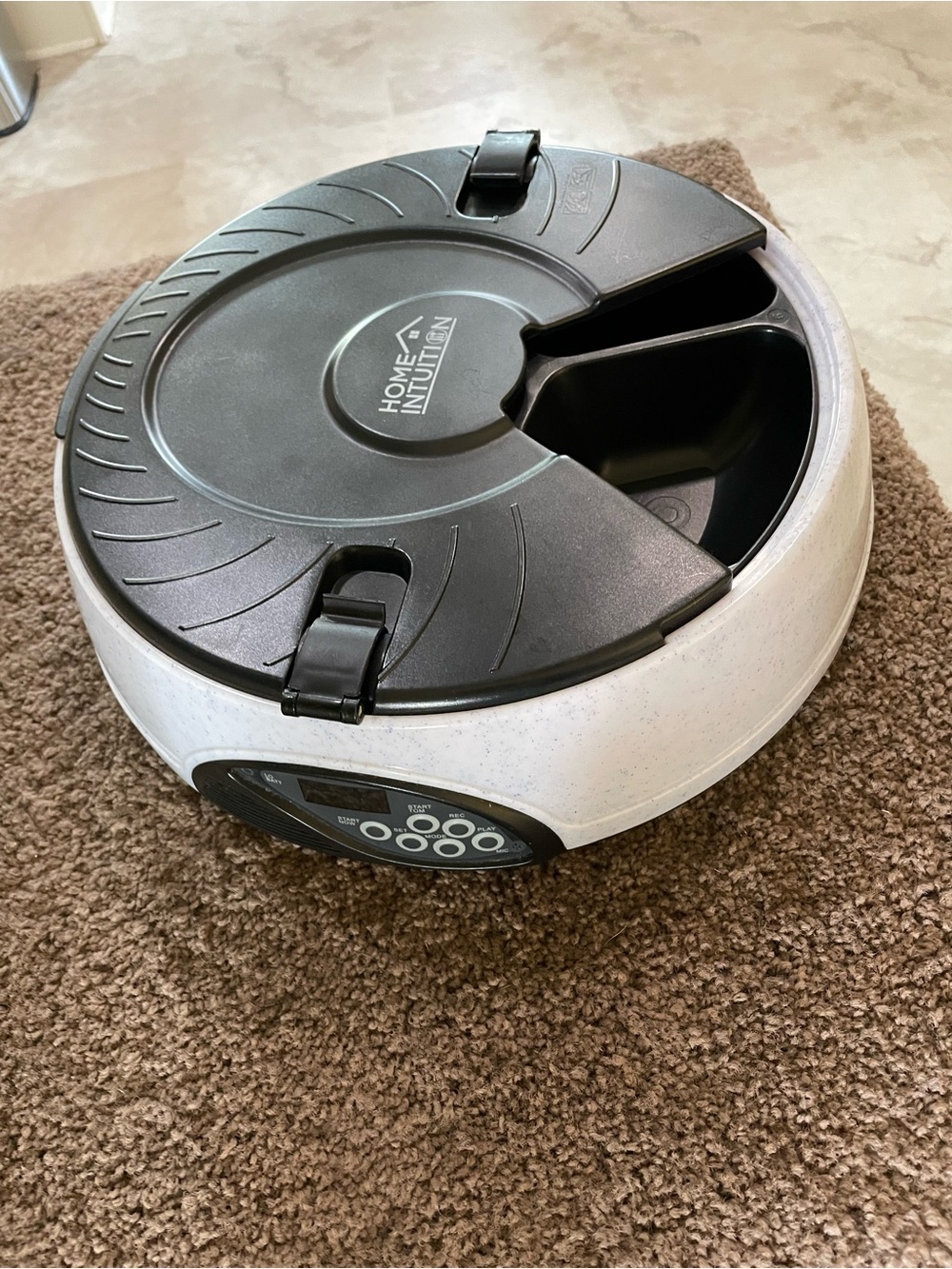 White & Black cat feeder